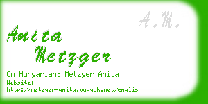 anita metzger business card